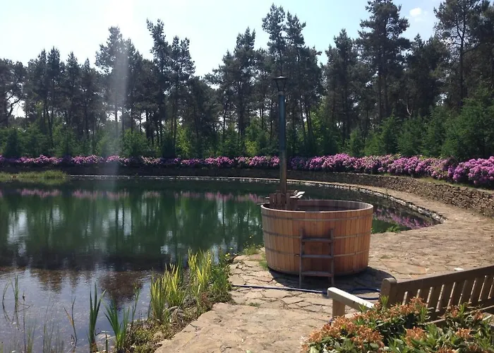 Landgoed Sollewerf Casa vacanze Beekbergen